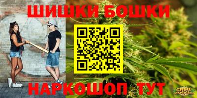 молекула духа Будённовск