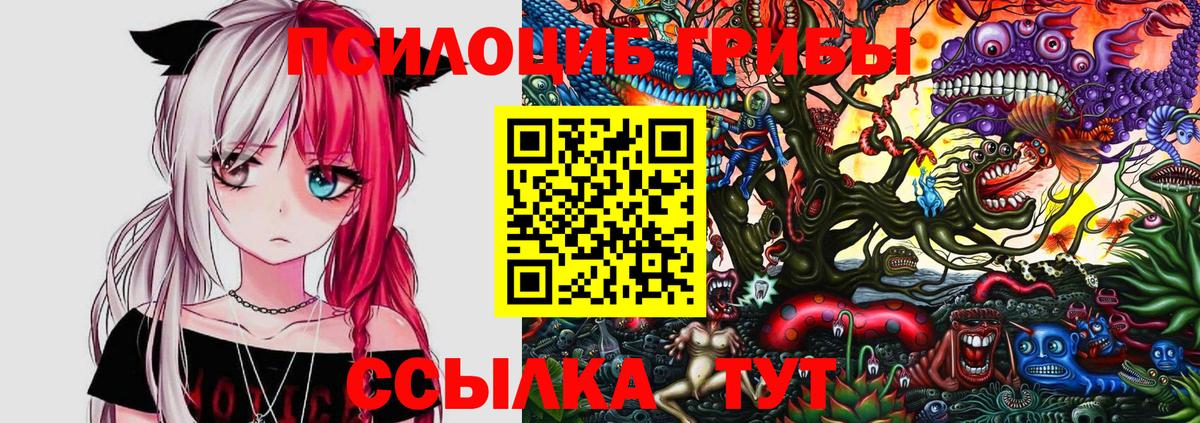 Краснознаменск  закладка  Вход с VPN  Псилоцибиновые грибы Magic Shrooms 
